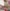 iStock-1064985260