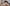 iStock-2128519716