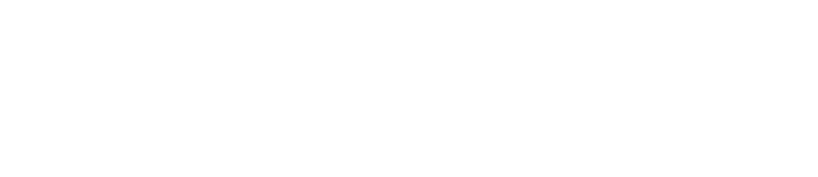 DESSA MTW White Logo