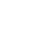 Data Manager