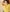 iStock-2203614808